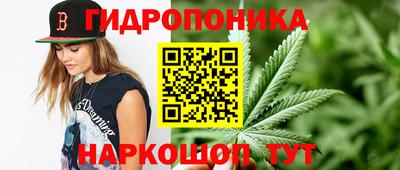 трава Будённовск
