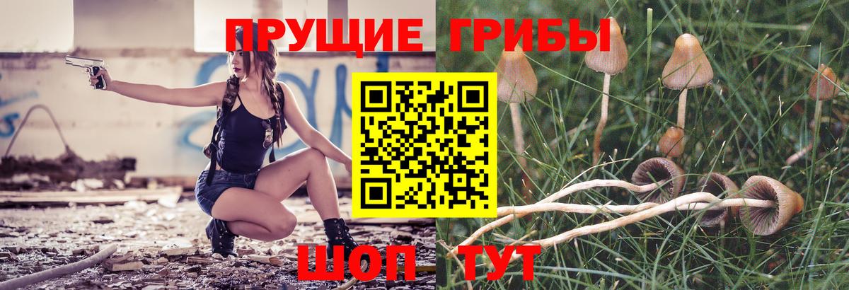 Псилоцибиновые грибы Magic Shrooms Родники